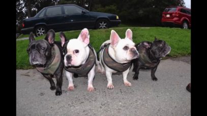 SAN FRANCISCO, DECEMBER 2015: KEITH HARING “THE POLITICAL LINE”, MAURICE JORDAN NOSESLIDE ATTEMPTS