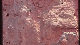 GARDEN_OF_THE_GODS_1997_3_SML