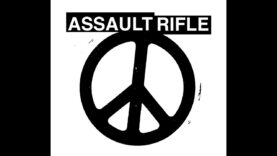 ASSAULT RIFLE –  “HAROLD WAY” PART
