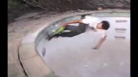 BOTANIC POOL – SP, TONY, HAMM and CHARNOSKI