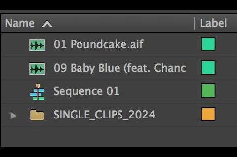 HATCH SINGLE CLIPS 2024