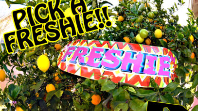 FRESHIE_PICK_AD_2_SML